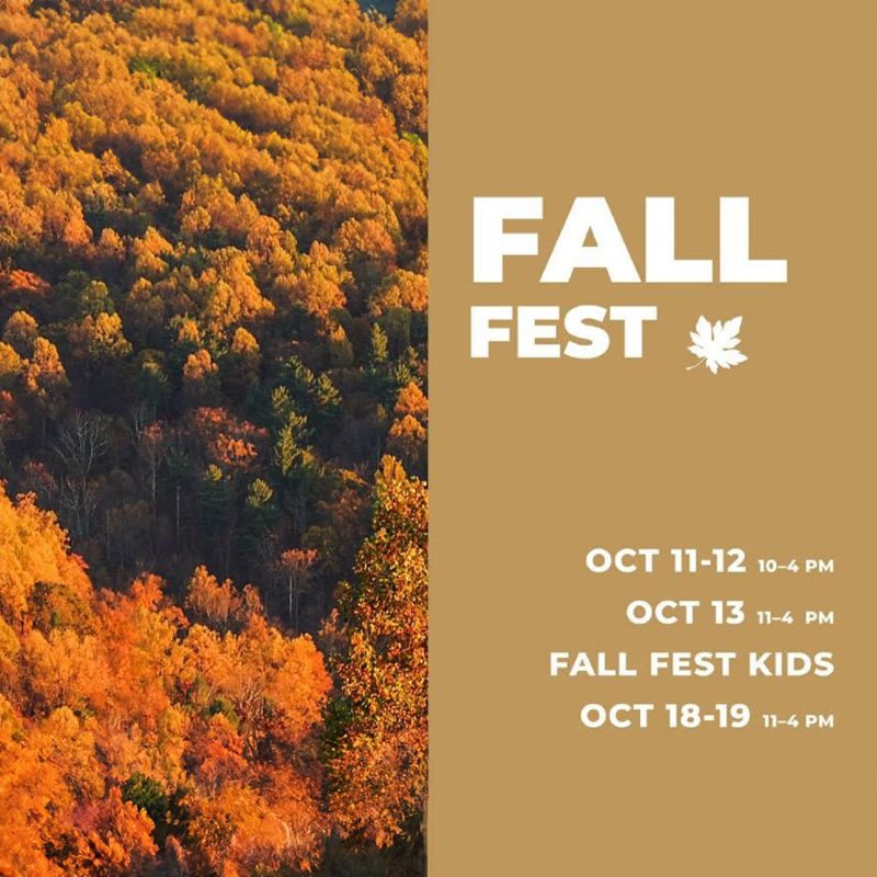 Family Fun Day