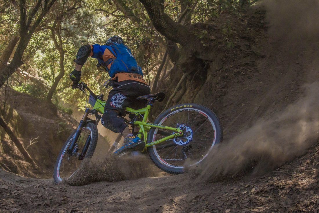 Mountain biker riding a forest trail