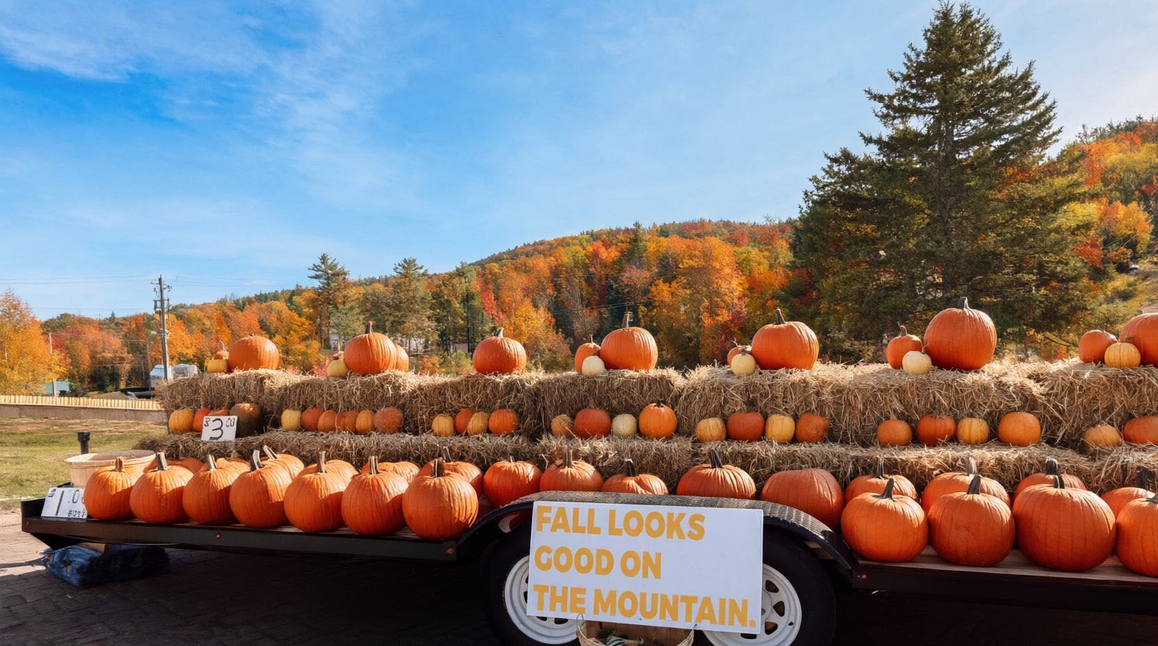 Pumpkins on straw bales at Martock in autumn