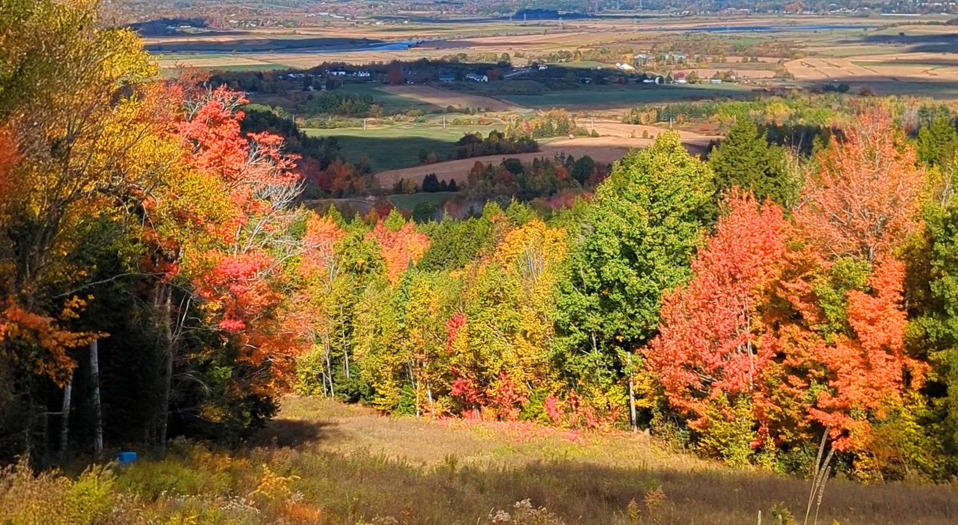Fall foliage over the Avon Valley from the Martock hillside